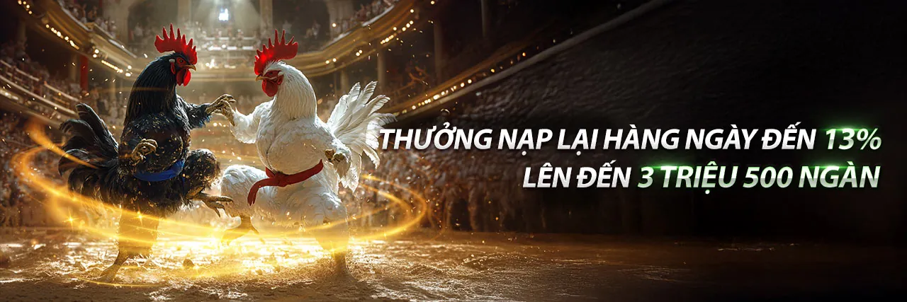 Chương trình VIP 55vin 2026 mang đến trải nghiệm cá cược đẳng cấp với các ưu đãi độc quyền dành cho thành viên thân thiết.